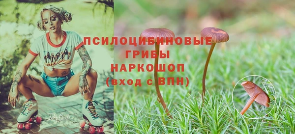 кокс Верея